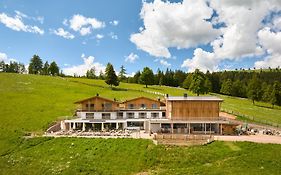 Lanzenschuster